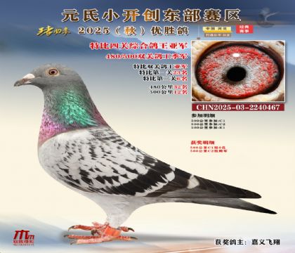 С_(chung)|^(q)رP(gun)C܊