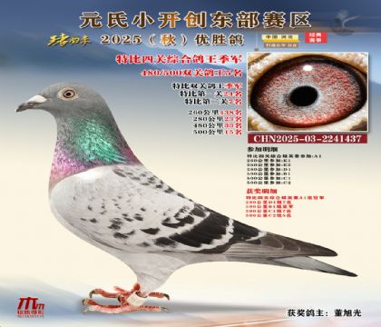 С_(chung)|^(q)رP(gun)C܊