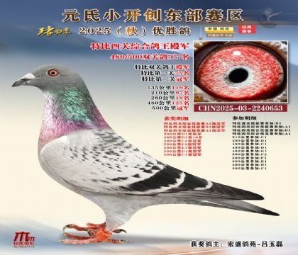 С_(chung)|^(q)رP(gun)C܊