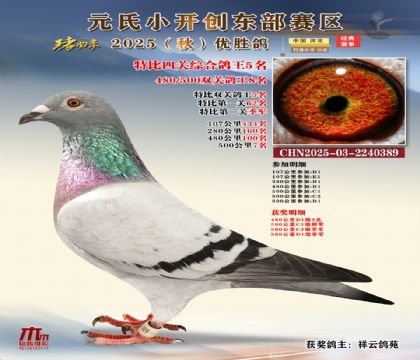 С_(chung)|^(q)رP(gun)C5