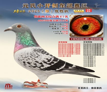 С_(chung)|^(q)رP(gun)C7