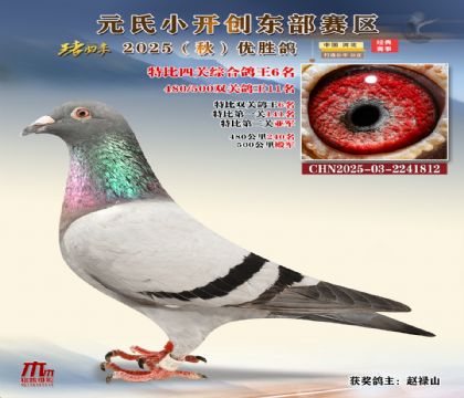 С_(chung)|^(q)رP(gun)C6