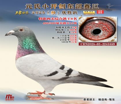 С_(chung)|^(q)رP(gun)C9