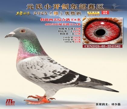 С_(chung)|^(q)رP(gun)C8