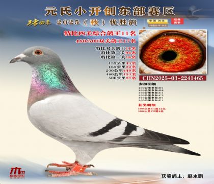 С_(chung)|^(q)رP(gun)C11