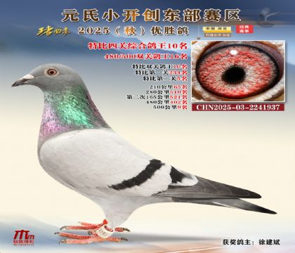 С_(chung)|^(q)رP(gun)C10