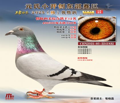 С_(chung)|^(q)رP(gun)C12