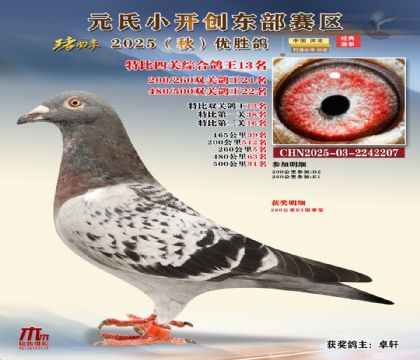 С_(chung)|^(q)رP(gun)C13