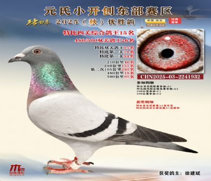 С_(chung)|^(q)رP(gun)C15