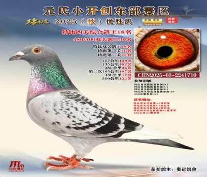 С_(chung)|^(q)رP(gun)C18