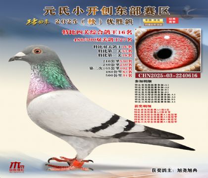 С_(chung)|^(q)رP(gun)C16