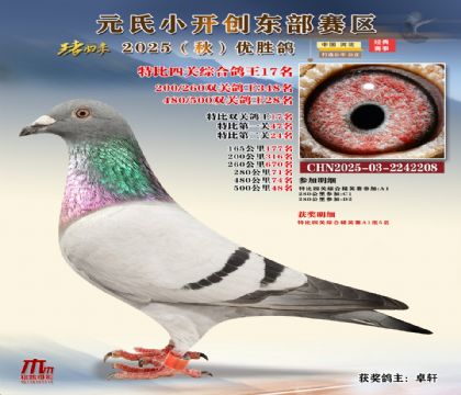 С_(chung)|^(q)رP(gun)C17