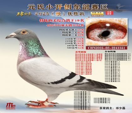 С_(chung)|^(q)رP(gun)C19