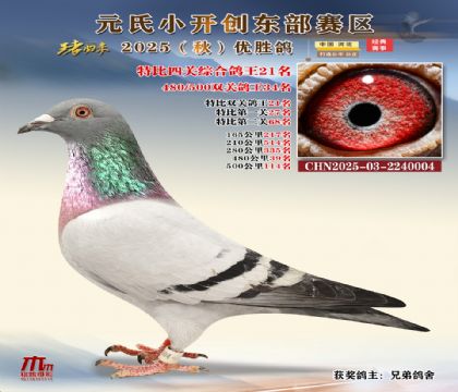 С_(chung)|^(q)رP(gun)C21