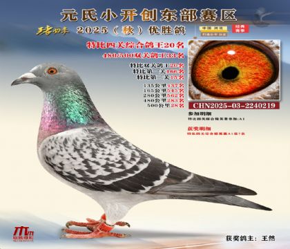 С_(chung)|^(q)رP(gun)C20