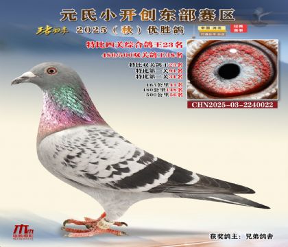 С_(chung)|^(q)رP(gun)C23