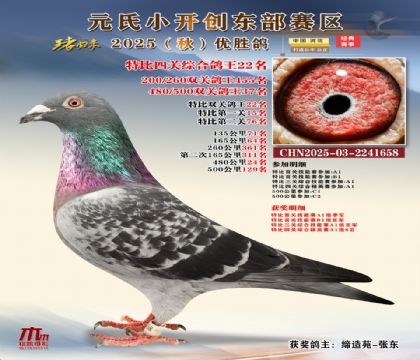 С_(chung)|^(q)رP(gun)C22