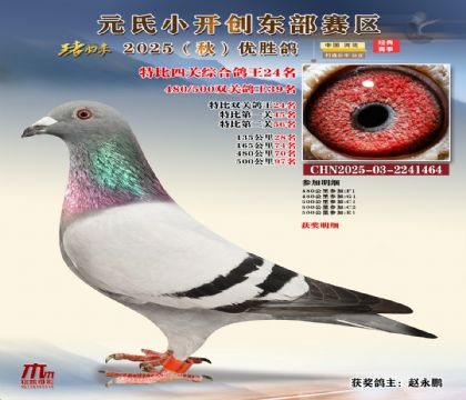 С_(chung)|^(q)رP(gun)C24