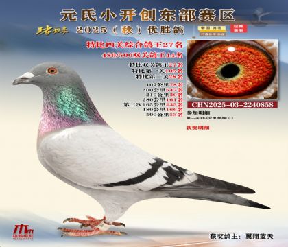 С_(chung)|^(q)رP(gun)C27