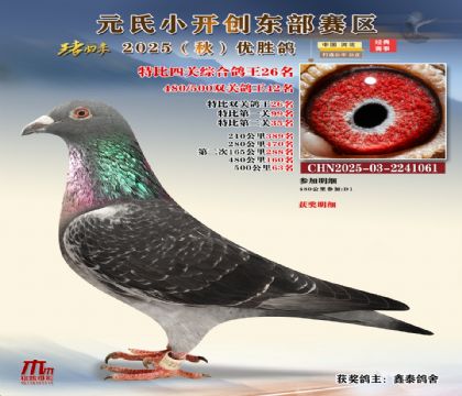 С_(chung)|^(q)رP(gun)C26