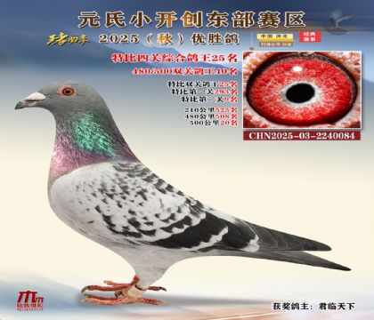 С_(chung)|^(q)رP(gun)C25