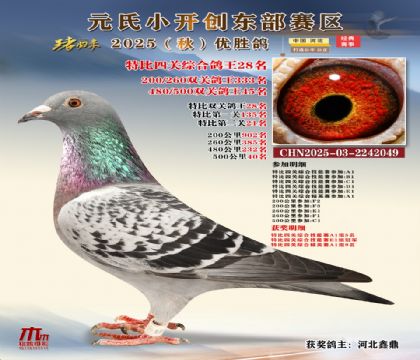 С_(chung)|^(q)رP(gun)C28