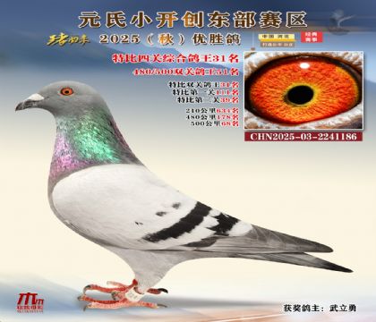 С_(chung)|^(q)رP(gun)C31