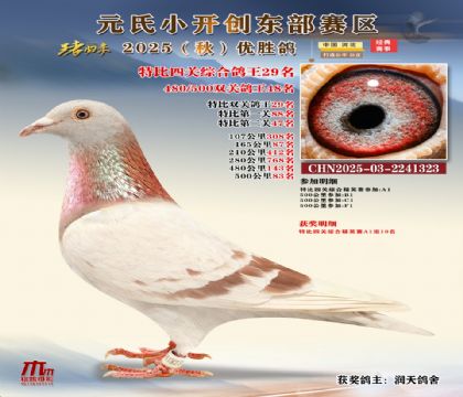 С_(chung)|^(q)رP(gun)C29