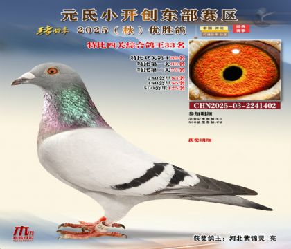 С_(chung)|^(q)رP(gun)C33