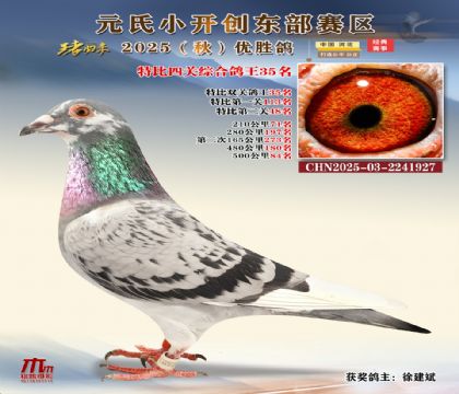 С_(chung)|^(q)رP(gun)C35