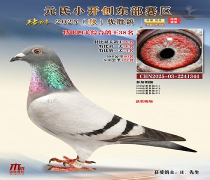 С_(chung)|^(q)رP(gun)C38