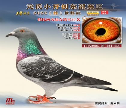 С_(chung)|^(q)رP(gun)C37