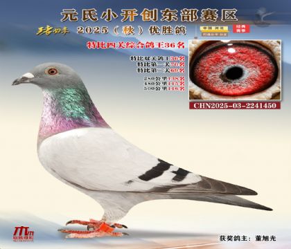 С_(chung)|^(q)رP(gun)C36