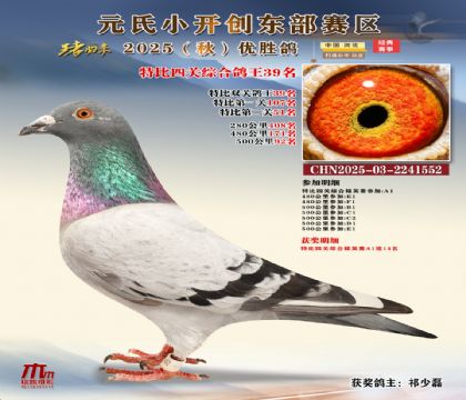 С_(chung)|^(q)رP(gun)C39