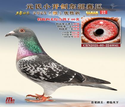 С_(chung)|^(q)رP(gun)C40