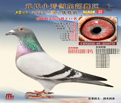 С_(chung)|^(q)رP(gun)C41