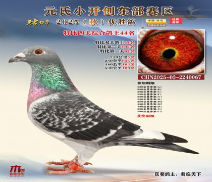 С_(chung)|^(q)رP(gun)C44