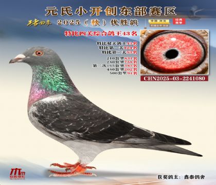 С_(chung)|^(q)رP(gun)C43