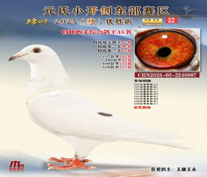 С_(chung)|^(q)رP(gun)C45