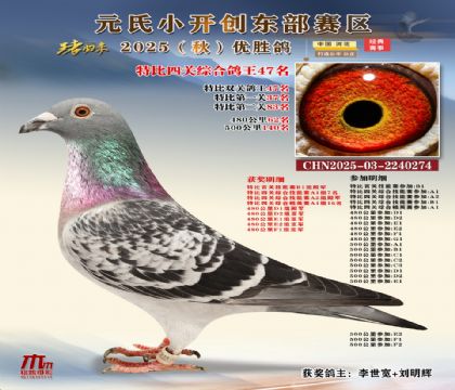 С_(chung)|^(q)رP(gun)C47