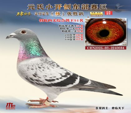 С_(chung)|^(q)رP(gun)C51