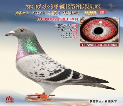 С_(chung)|^(q)رP(gun)C49