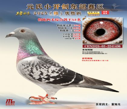 С_(chung)|^(q)رP(gun)C53