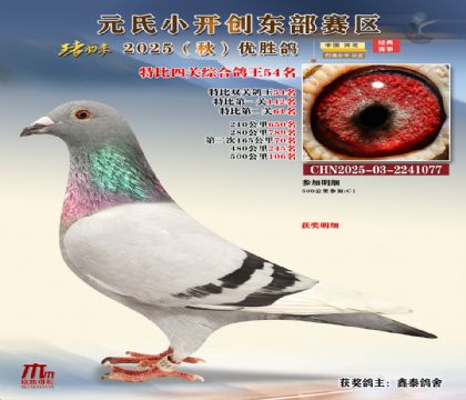 С_(chung)|^(q)رP(gun)C54