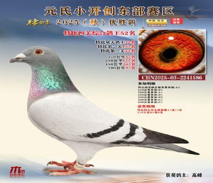 С_(chung)|^(q)رP(gun)C52