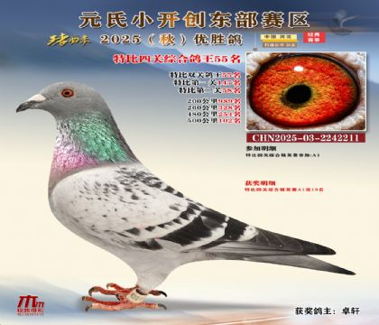 С_(chung)|^(q)رP(gun)C55