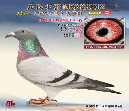 С_(chung)|^(q)رP(gun)C59