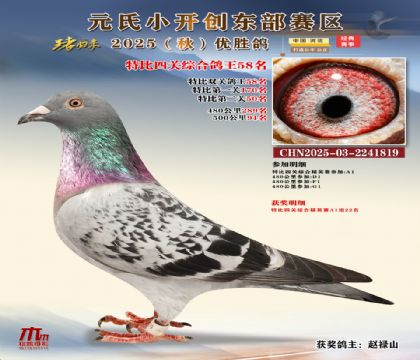 С_(chung)|^(q)رP(gun)C58