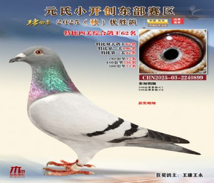 С_(chung)|^(q)رP(gun)C62