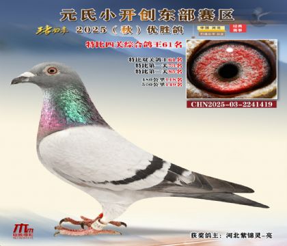 С_(chung)|^(q)رP(gun)C61